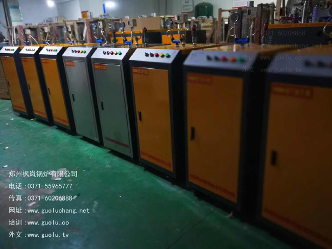 电加热蒸汽发生器